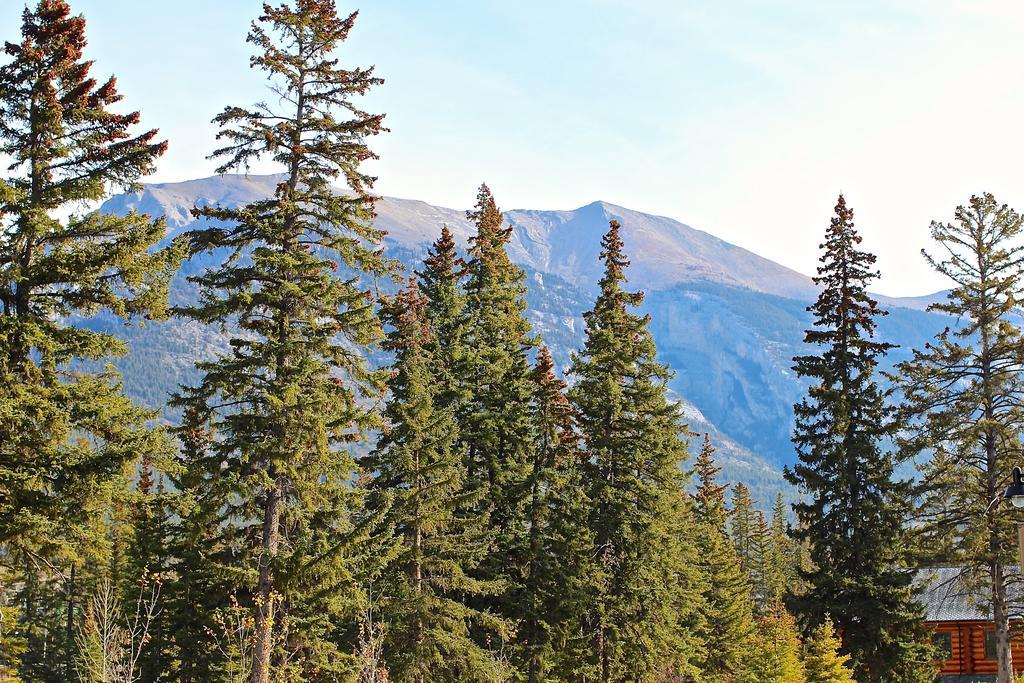 Luxury Canmore Vacations Екстериор снимка
