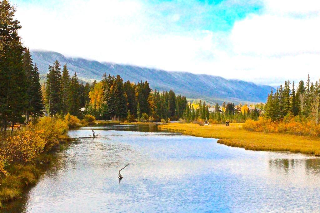 Luxury Canmore Vacations Екстериор снимка
